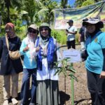 Sinergi untuk Bumi: Saadiah Uluputty Bersama BKM Al-Hikmah dan BPDASHL Tanam Ribuan Pohon di Tengah-Tengah