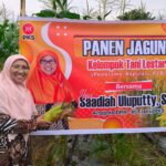 Panen Harapan Bersama Petani: Saadiah Pastikan Bantuan Pertanian Berdampak Langsung bagi Rakyat