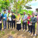 Aspirasi Berbuah di Negeri Sepa: Saadiah Uluputty Salurkan Ribuan Bibit Kelapa dan Pupuk untuk Petani