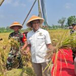 Abdul Kharis Almasyhari Pimpin Panen Raya Padi bersama Petani Wonosari Klaten