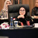 Meity Minta Imigrasi Tindak Tegas Warga Asing yang Salahgunakan Izin di Indonesia